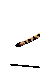 felino immagini-animate-gif